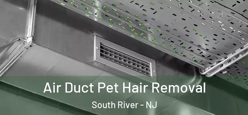 Air Duct Pet Hair Removal South River - NJ