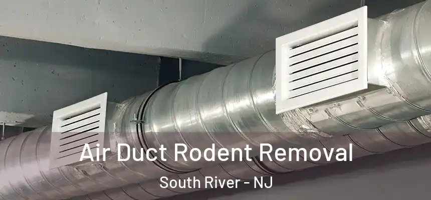 Air Duct Rodent Removal South River - NJ