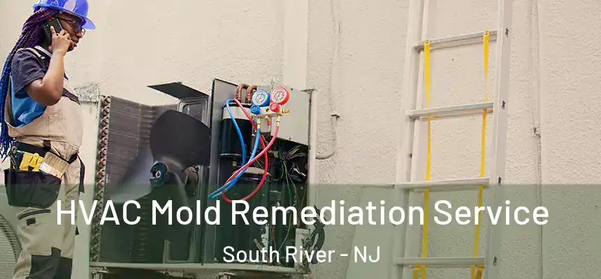  HVAC Mold Remediation Service South River - NJ