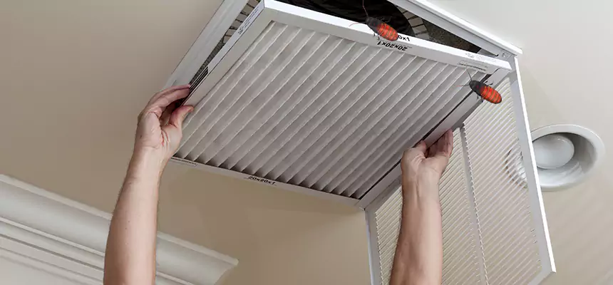 Preventive Cockroach-Proofing for Ducts in South River