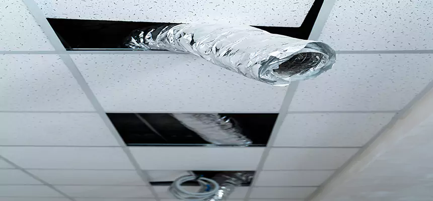 Affordable HVAC Sanitizing After Pest Removal in South River