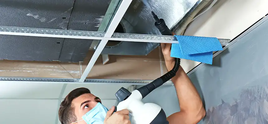 Our Air Duct Rodent Removal Services in South River, NJ
