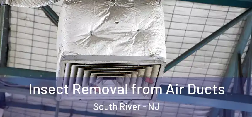 Insect Removal from Air Ducts South River - NJ