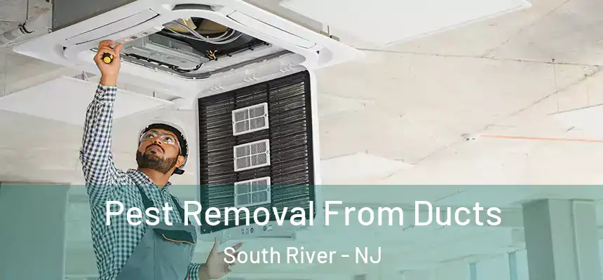 Pest Removal From Ducts South River - NJ