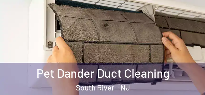 Pet Dander Duct Cleaning South River - NJ