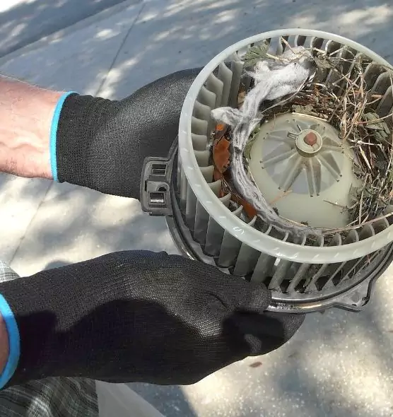 About Air Duct Rat Removal in South River, NJ