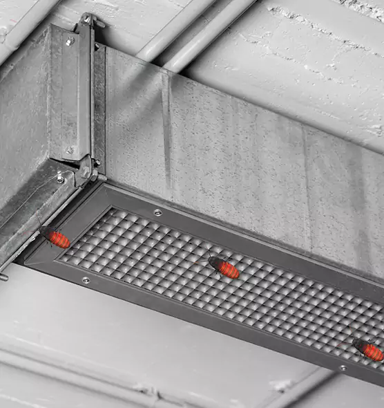 Affordable Insect Removal from Air Ducts in South River, NJ