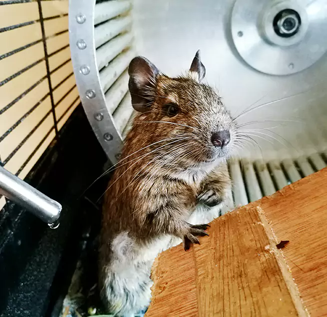 Why Homeowners & Businesses Trust Us South River, NJ